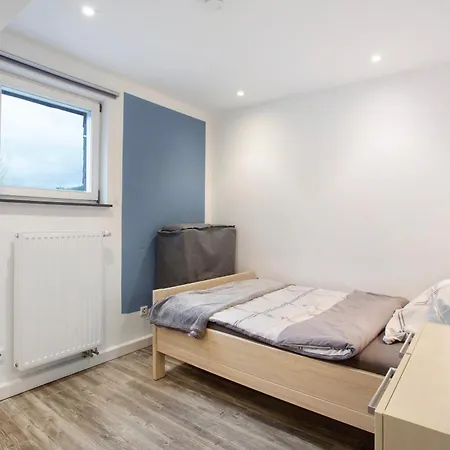 Lausebuche Im Sauerland *