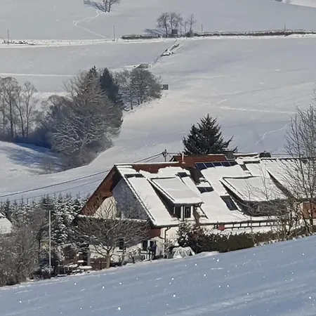 Lausebuche Im Sauerland Apartament *