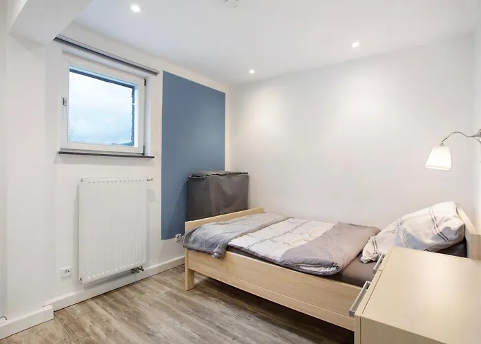 Lausebuche Im Sauerland *