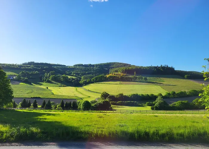 Lejlighed Lausebuche Im Sauerland *