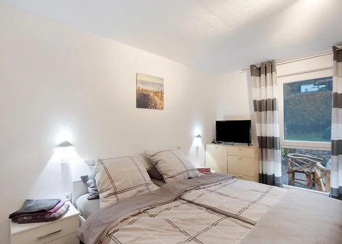 Lausebuche Im Sauerland